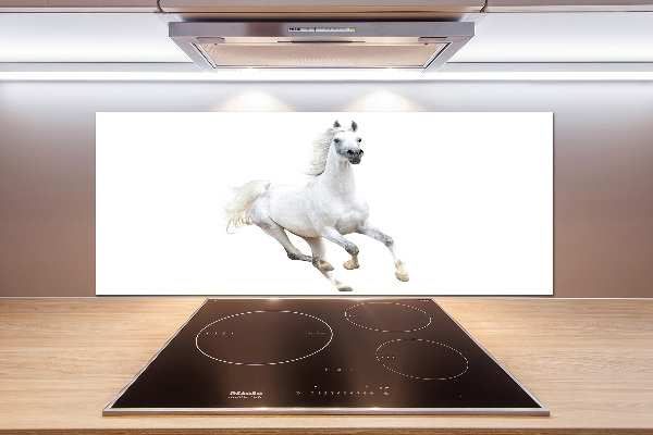 Cooker splashback White Arabic horse