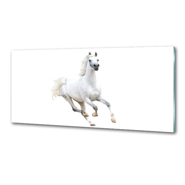 Cooker splashback White Arabic horse