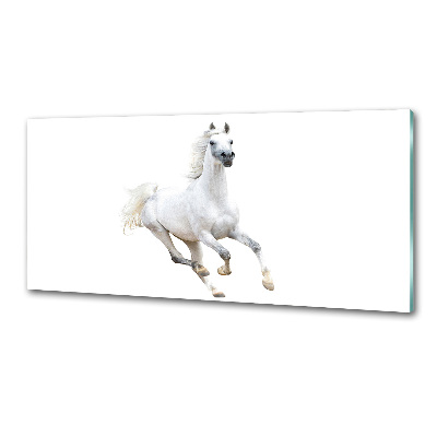 Cooker splashback White Arabic horse