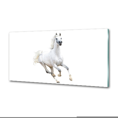 Cooker splashback White Arabic horse