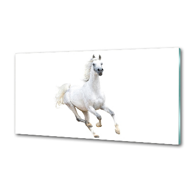 Cooker splashback White Arabic horse