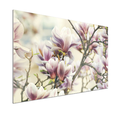 Cooker splashback Magnolia