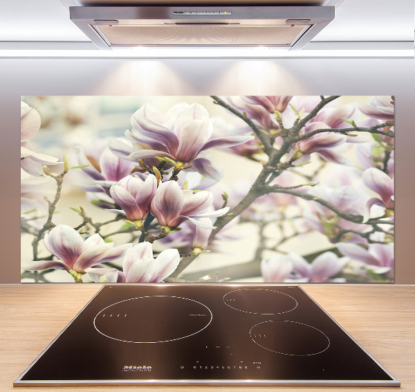 Cooker splashback Magnolia