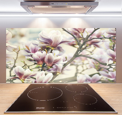 Cooker splashback Magnolia