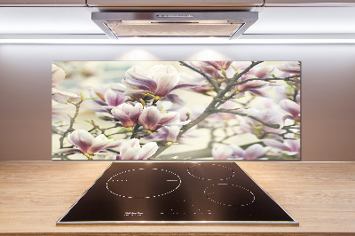 Cooker splashback Magnolia