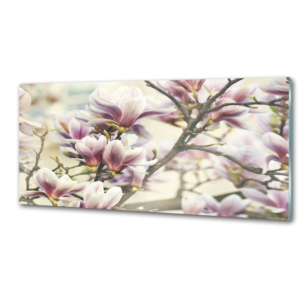 Cooker splashback Magnolia