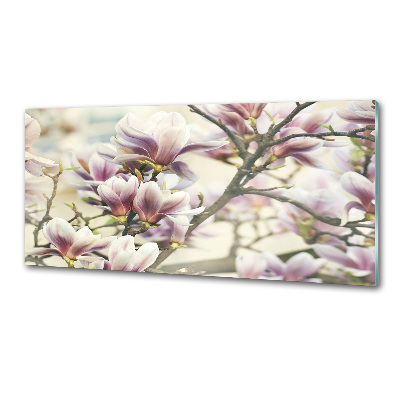 Cooker splashback Magnolia