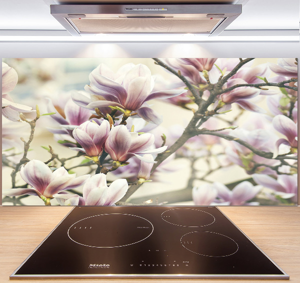 Cooker splashback Magnolia