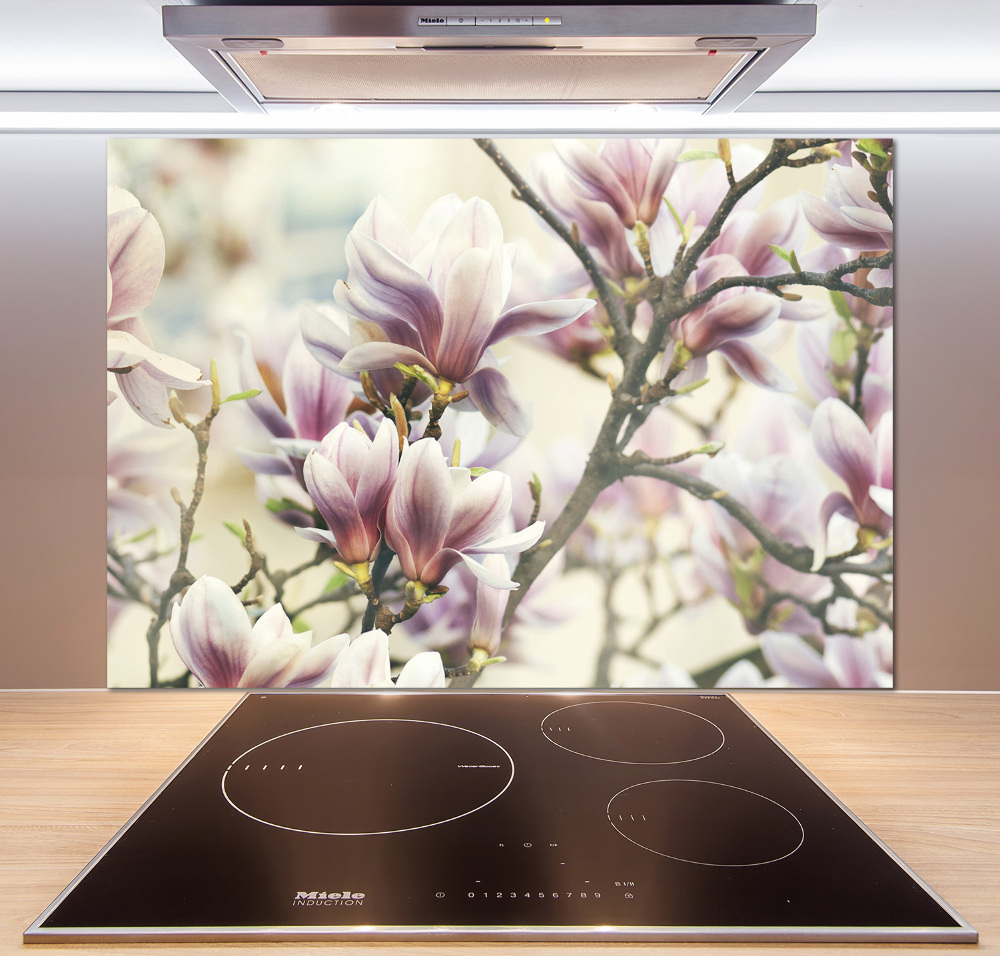 Cooker splashback Magnolia