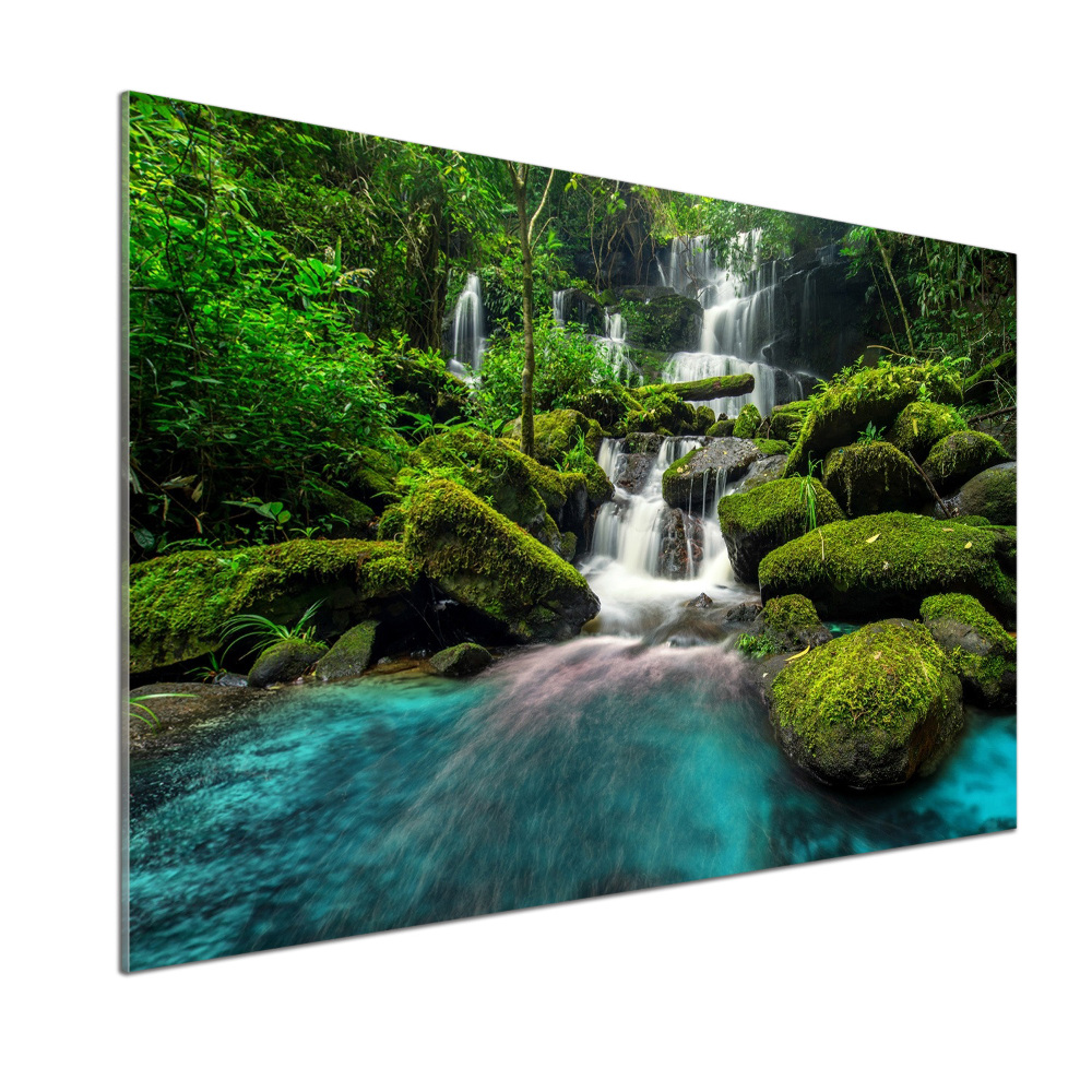 Cooker splashback Waterfall in the jungle