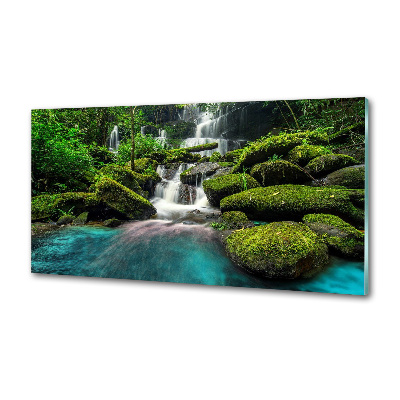 Cooker splashback Waterfall in the jungle