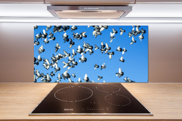 Cooker splashback Flock of pigeons