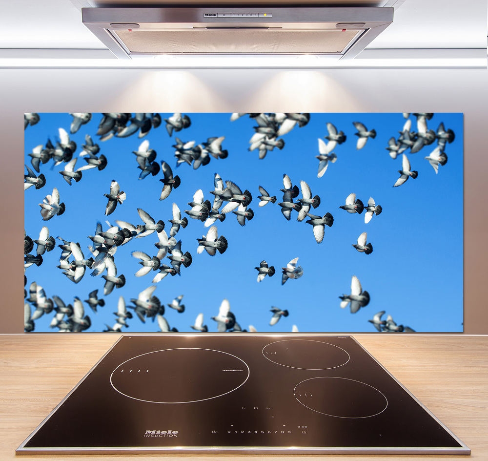 Cooker splashback Flock of pigeons