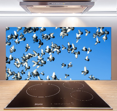 Cooker splashback Flock of pigeons