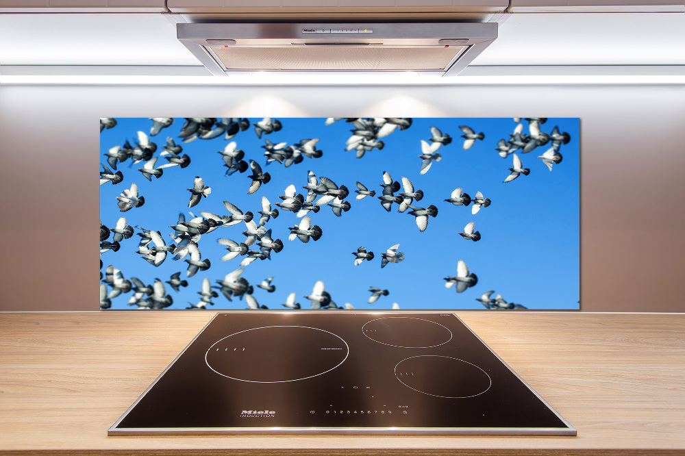 Cooker splashback Flock of pigeons