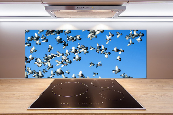 Cooker splashback Flock of pigeons