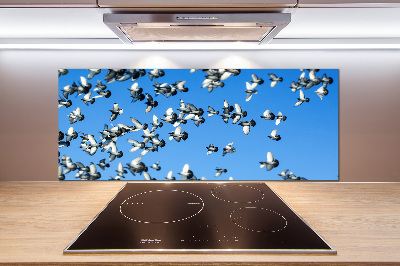 Cooker splashback Flock of pigeons