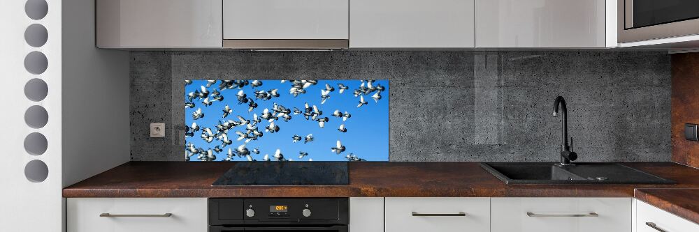 Cooker splashback Flock of pigeons