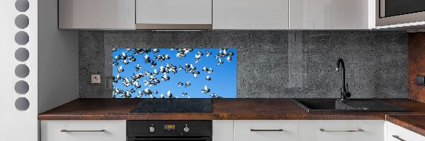 Cooker splashback Flock of pigeons