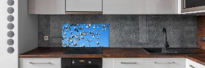 Cooker splashback Flock of pigeons