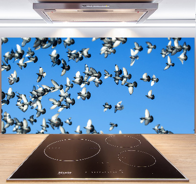 Cooker splashback Flock of pigeons