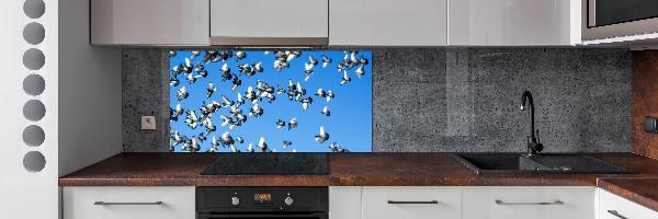 Cooker splashback Flock of pigeons