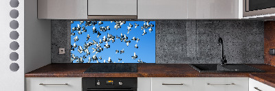 Cooker splashback Flock of pigeons