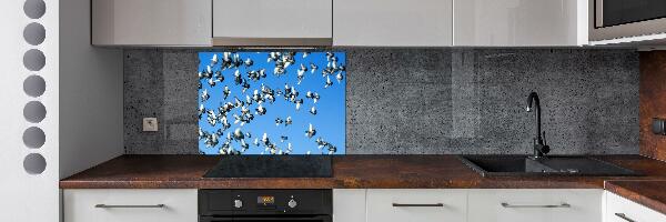 Cooker splashback Flock of pigeons