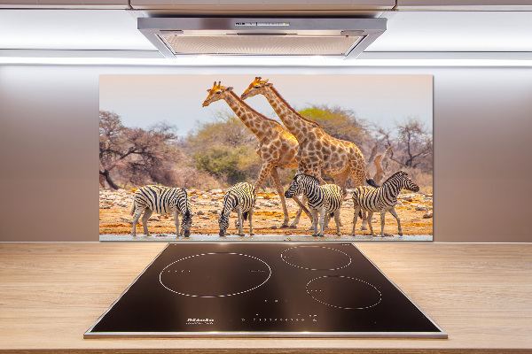 Cooker splashback Giraffes and zebra