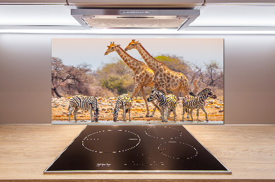 Cooker splashback Giraffes and zebra