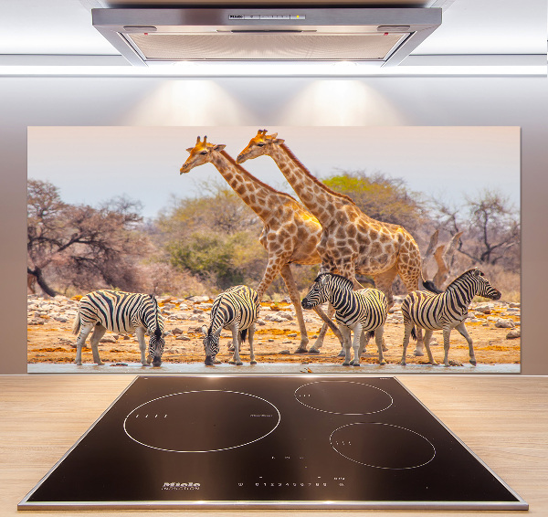 Cooker splashback Giraffes and zebra