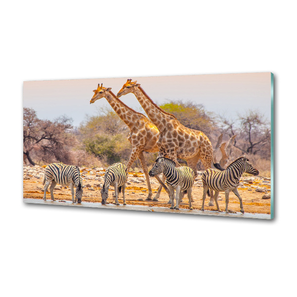 Cooker splashback Giraffes and zebra