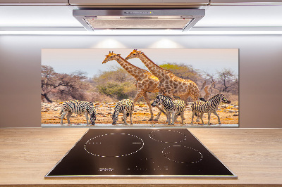 Cooker splashback Giraffes and zebra