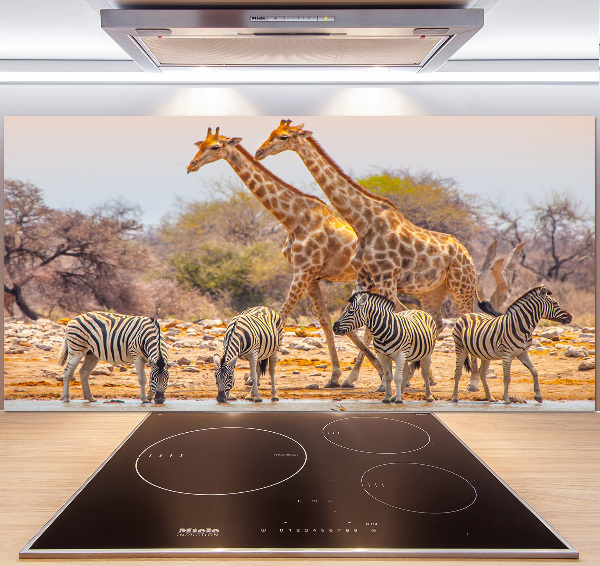 Cooker splashback Giraffes and zebra