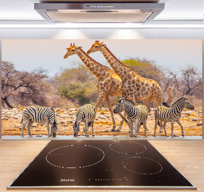 Cooker splashback Giraffes and zebra