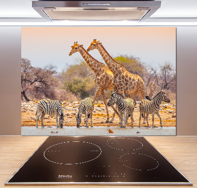 Cooker splashback Giraffes and zebra