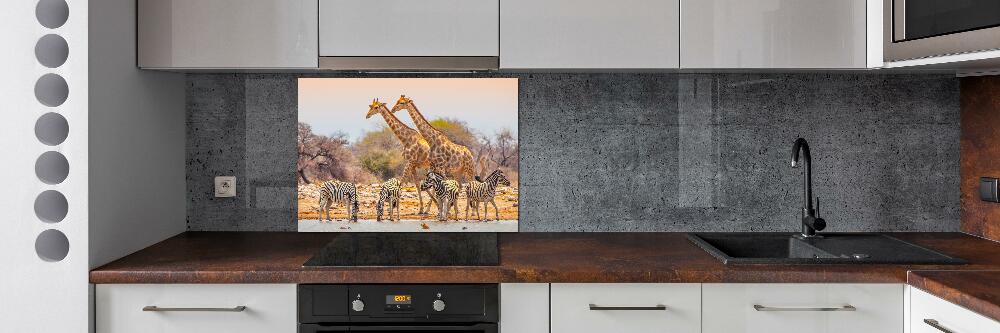 Cooker splashback Giraffes and zebra