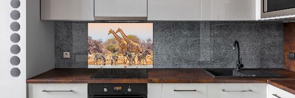 Cooker splashback Giraffes and zebra