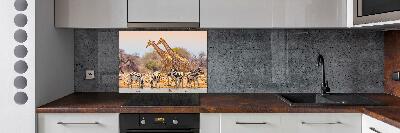 Cooker splashback Giraffes and zebra