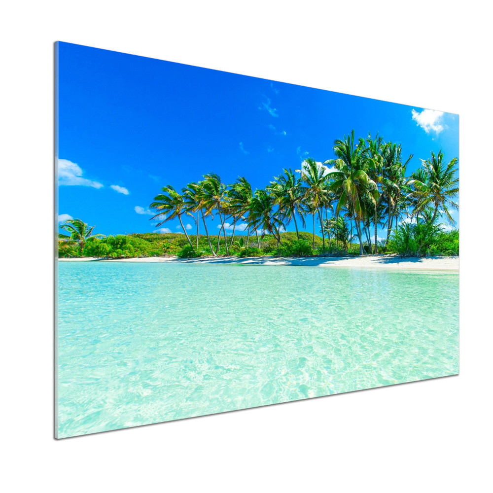 Cooker splashback Tropical beach