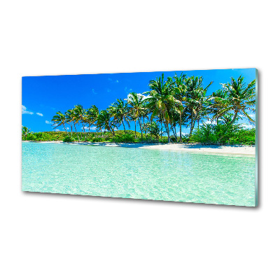 Cooker splashback Tropical beach