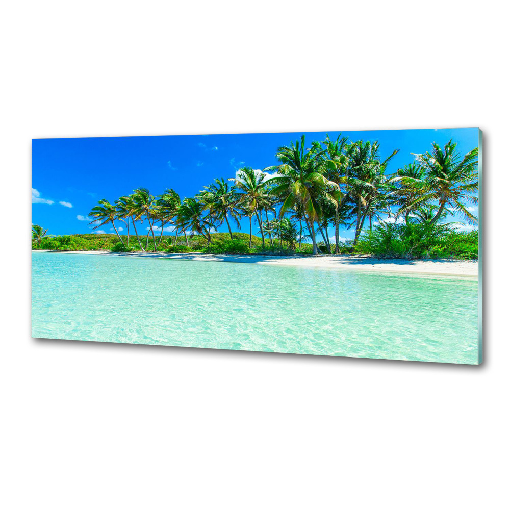 Cooker splashback Tropical beach