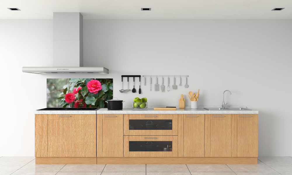 Cooker splashback Camellia