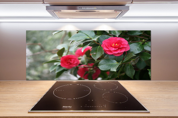 Cooker splashback Camellia