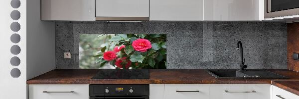 Cooker splashback Camellia