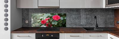 Cooker splashback Camellia