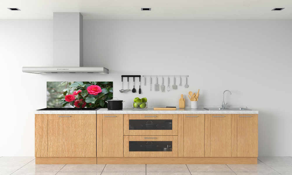 Cooker splashback Camellia