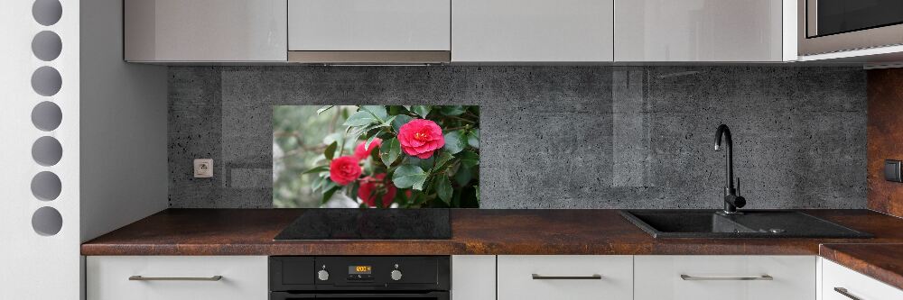 Cooker splashback Camellia