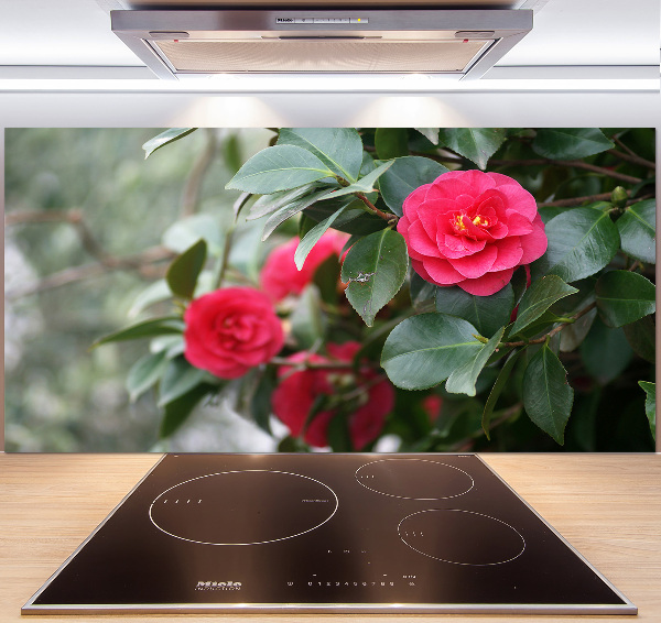 Cooker splashback Camellia