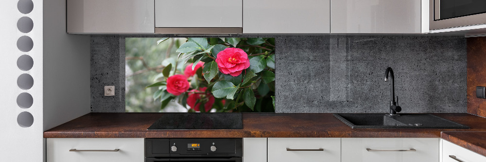 Cooker splashback Camellia